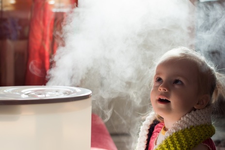 Humidifiers vs. Dehumidifiers: Which One Should You Use This Winter?